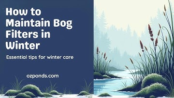 Winter Bog Filter Maintenance