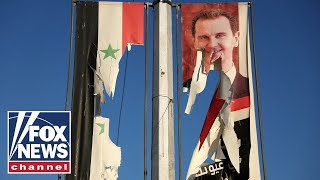 Celebrity Assad regime overthrown by rebels in Syria Net Worth