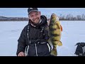 Ice Fishing Shallow Water Jumbo Perch on the Mississippi River - In Depth Outdoors TV S15 E9