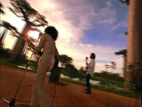 Theatre Brook シアターブルック - 心臓の目覚める時