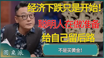 经济下跌只是开始，聪明人都在给自己留后路！#马未都 #对白 #白岩松 #金灿荣 #圆桌派