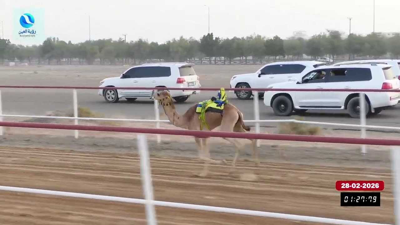 فيديو ميدان السد 28.02.2026 يوم السبت شارة صندوق السد