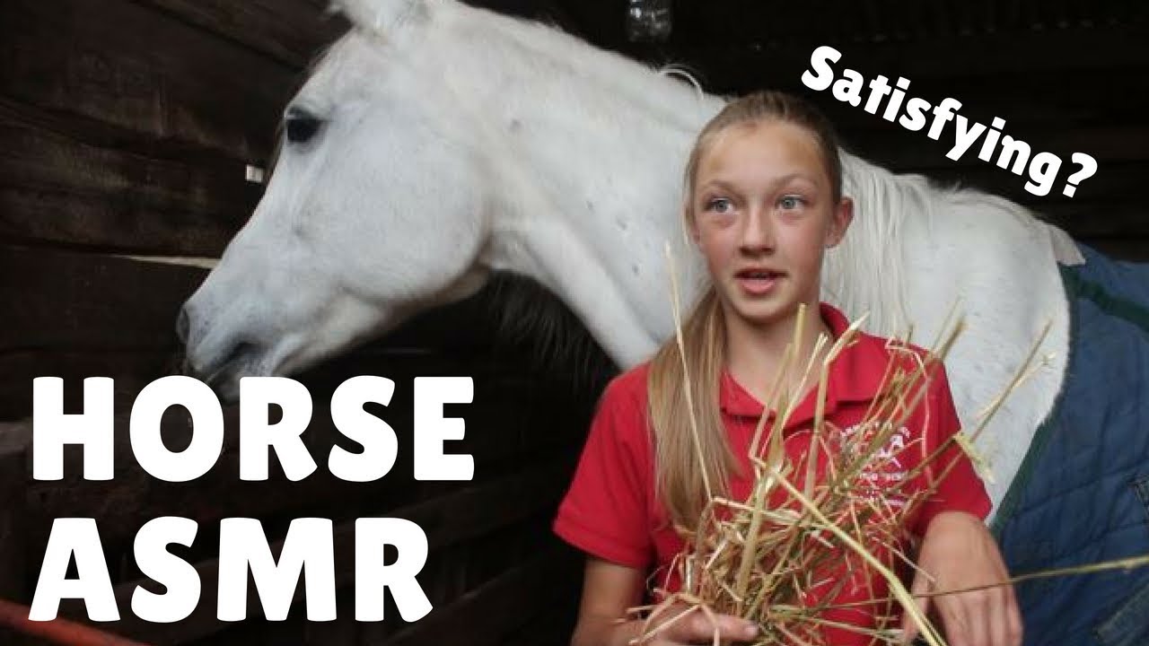 Horse ASMR YouTube