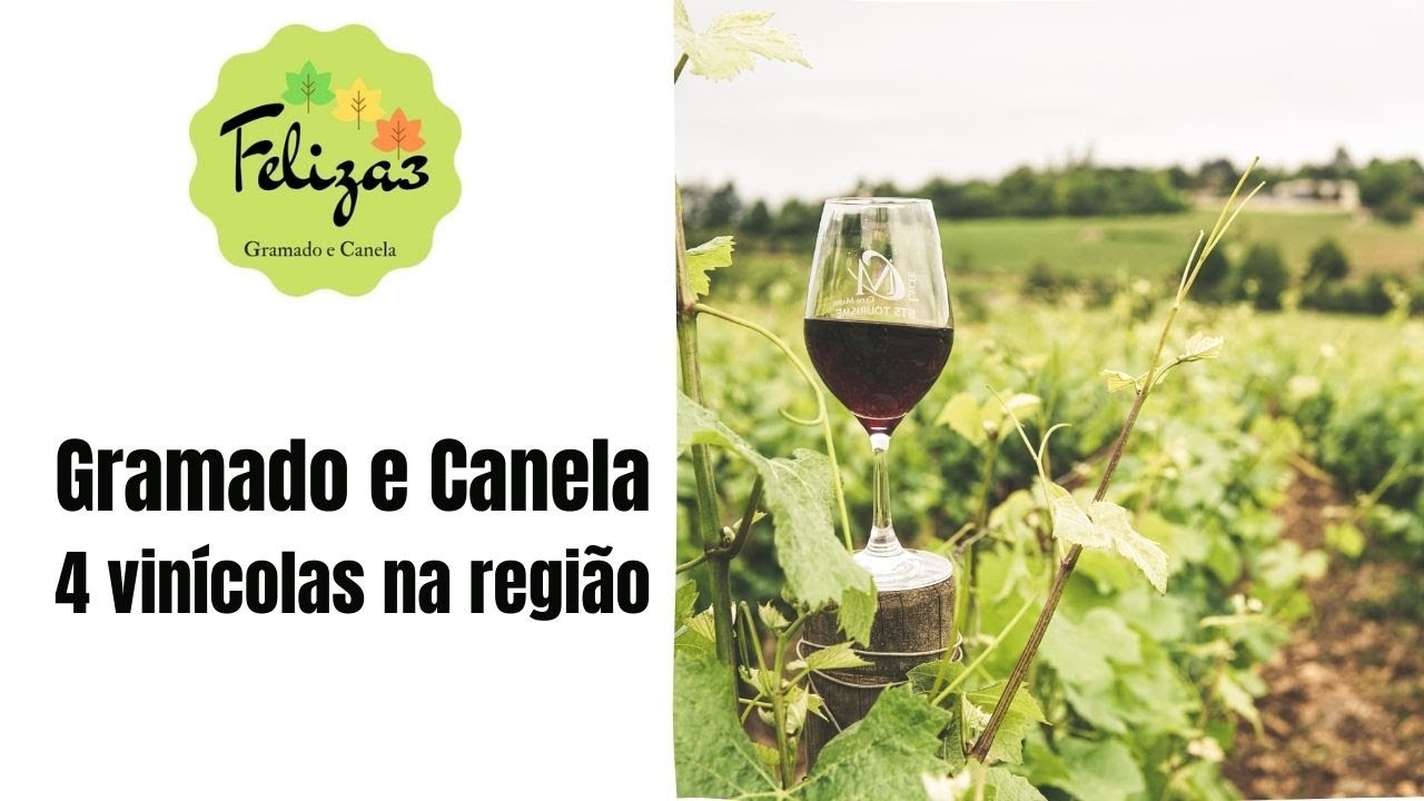 Vinícolas em Gramado e Canela - Wine Locals