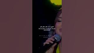 lagu arab nancy ajram ah w noss lirik   terjemahan