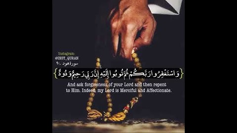 من سورة هود للقاری الشيخ ناصر القطامي