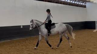 NCEA Flat Pattern, Cicerano Z