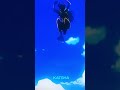 Luffy Ep 1079 Shorts Anime Onepiece Edit Animeedit Onepieceedit Luffy Zoro 