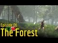 Forest Facecam Forest Fighter Gameplay/Walkthrough