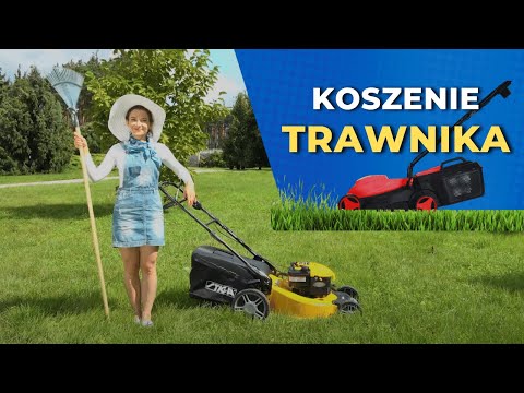 Koszenie trawnika. Kiedy i jak kosić trawnik