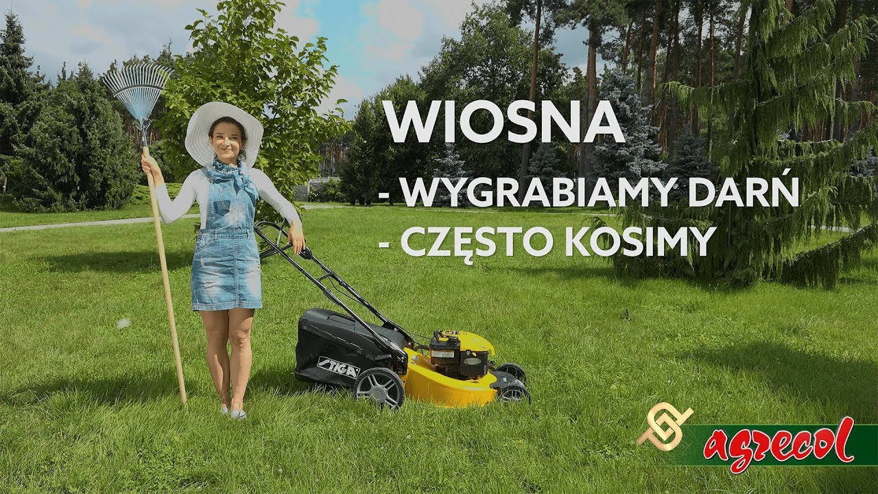 Koszenie Trawnika Kiedy I Jak Kosic Trawnik Youtube