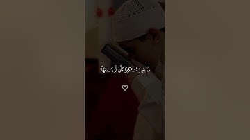 قرآن كريم بصوت القارئ ياسر الدوسري | تلاوة هادئة ومريحة 😴🤎 قران كريم بصوت جميل جدا