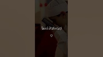 قرآن كريم بصوت القارئ ياسر الدوسري | تلاوة هادئة ومريحة 😴🤎 قران كريم بصوت جميل جدا