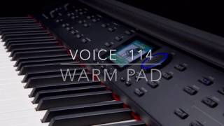 Williams Symphony Grand Voice 114 Warm Pad Performed By Kris Nicholson screenshot 5