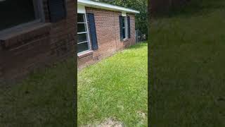 Cleaning black and green algae with soft wash system screenshot 5