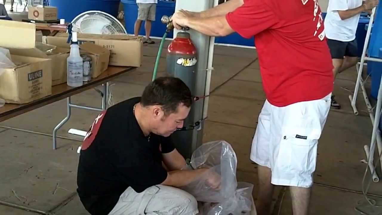 2013-09-01 Bagging and boxing koi for transport