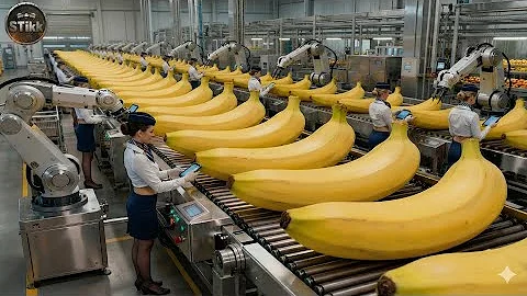 Inside a banana bread factory – An incredible automated production process (Full Process)