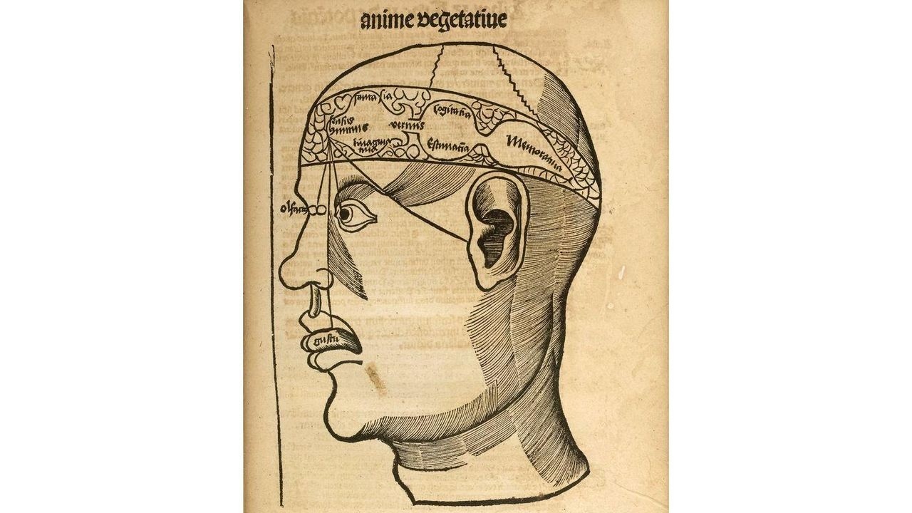 De la trépanation à l'imagerie cérébrale : révolutions dans l'exploration du cerveau