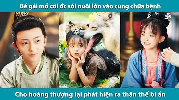 Bé gái mồ côi đc sói nuôi lớn vào cung chữa bệnh cho hoàng thượng lại phát hiện ra thân thế bí ẩn