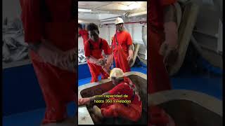 Conocemos desde dentro un atunero de cerco gracias al Capitán Gabriel ⛴️🕸️🐟#ElPigafettadelSigloXXI