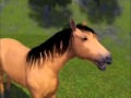 ~ Sims 3 ~ Spirit Stallion of the Cimarron ~ Part 5