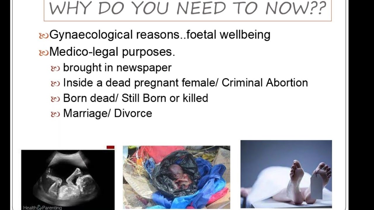 Age Of Fetus / Forensic Medicine - YouTube