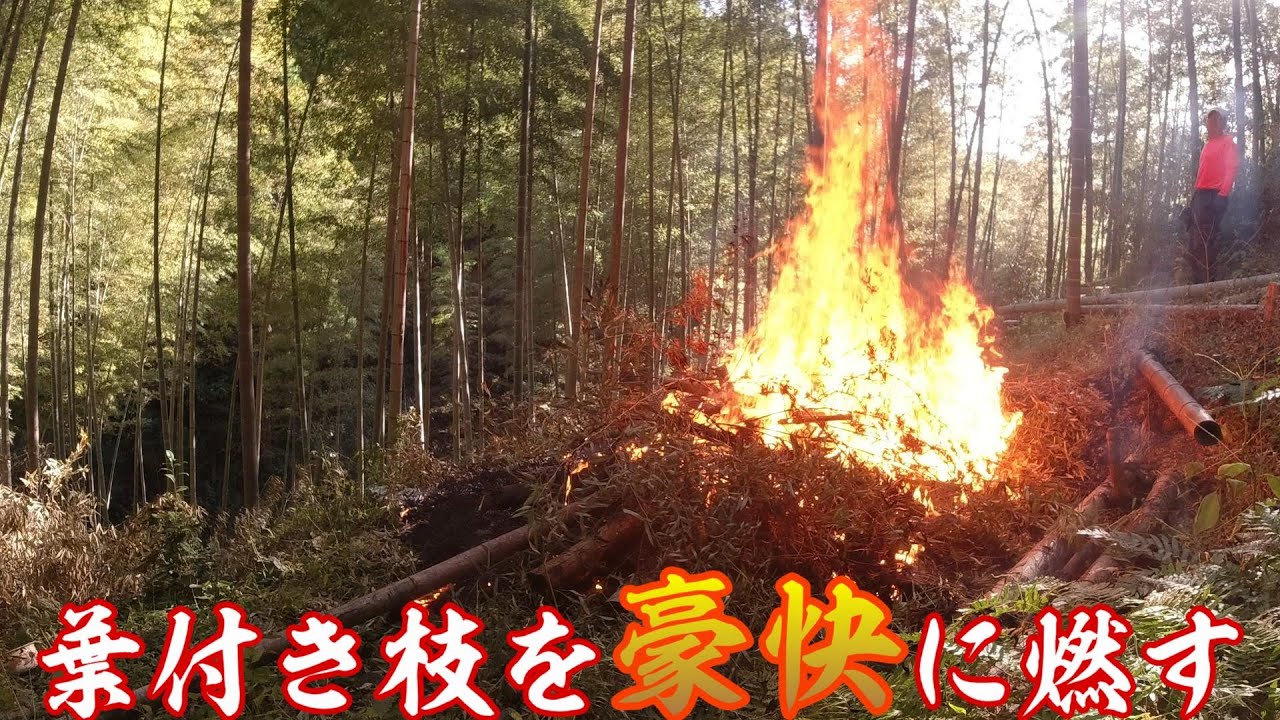 葉付き枝を豪快に燃やしながら農業についてお話してます