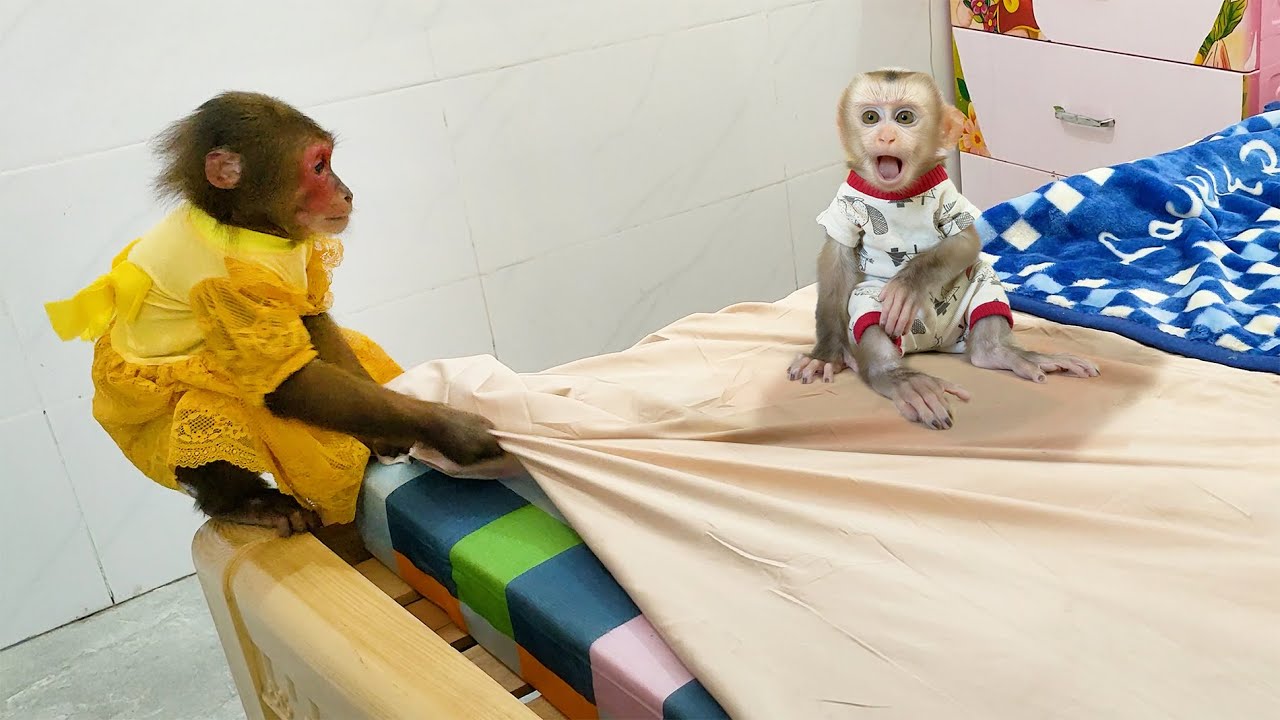 Kobi panicked try to changed the bed sheet herself when Mon peed on it