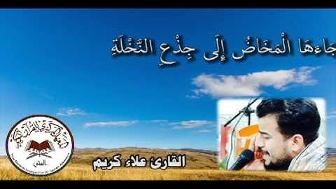 القارئ علاء كريم