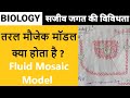 What is fluid mosaic model        