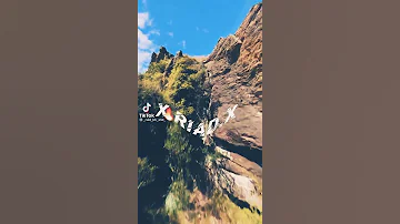 اشبال اجدع مافيكو معروف طبال 