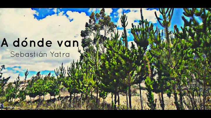 A donde van - Sebastin Yatra(Cover_Mayr...  Hidalg...