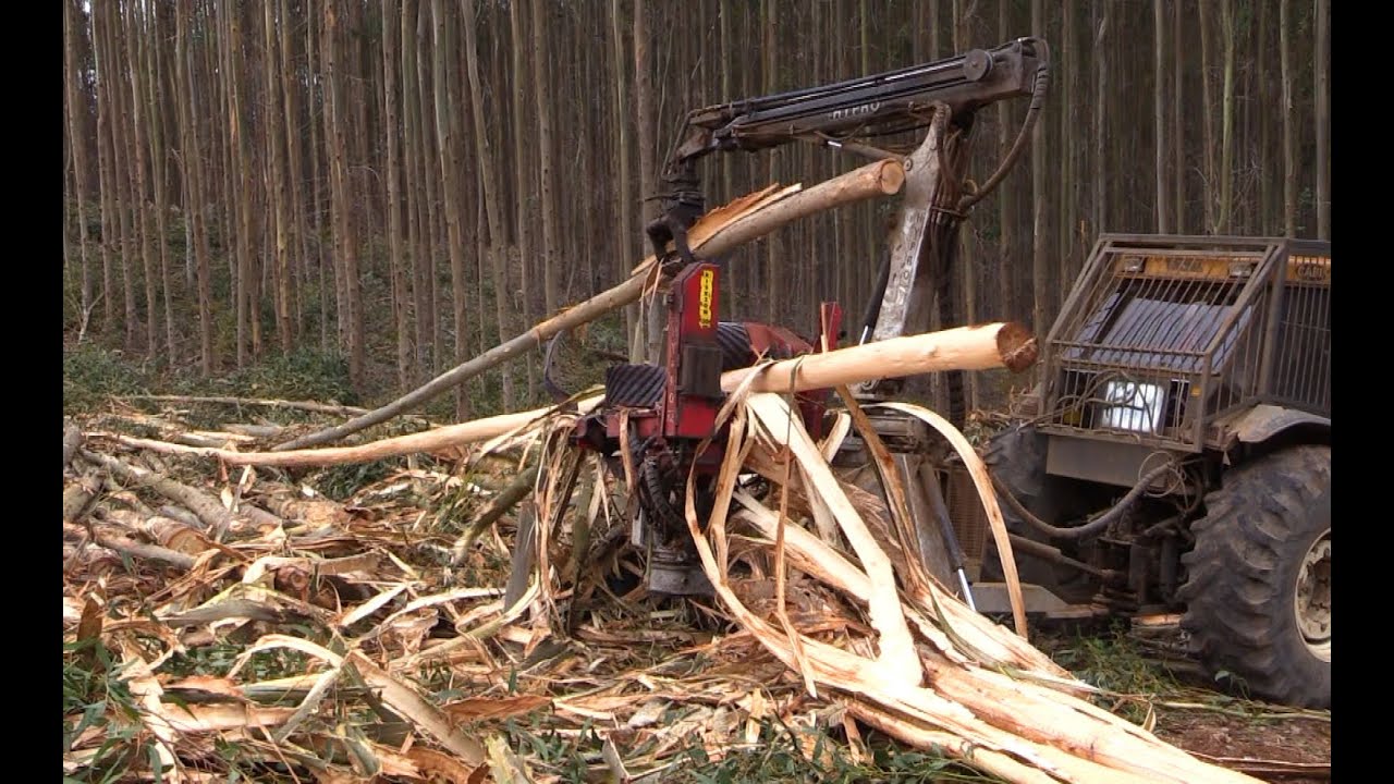 HYPRO 765 HB Processor Debarking Eucalyptus