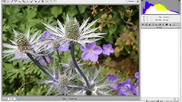 Photoshop CS5 Tutorials-6 Camera Raw Essentials 4.Preview