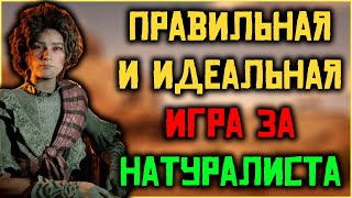 Взгляд по новому! Правильная прокачка роли 