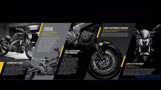 DOMINAR official SPECIFICATION ||broucher video || bajaj NEW 400cc BIKE