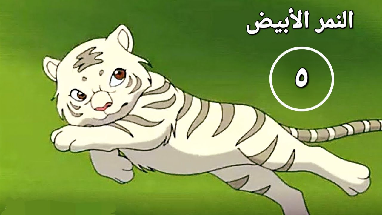 النمر الأبيض | ٥ #بدون_موسيقى #أفلام #كرتون