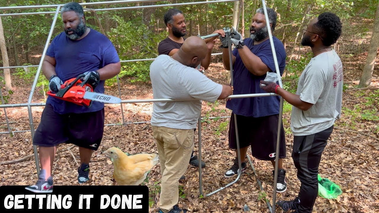 Building A Chicken Fence In 90 Degrees Heat 🌞 Was Hard Work Today + Cutting Trees 🌳 YouTube