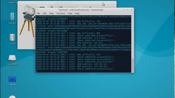 Install Minergate-cli on Xubuntu