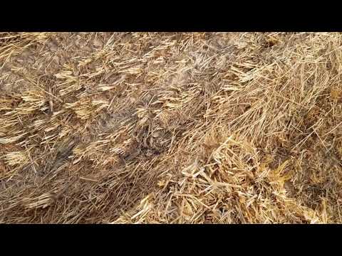 بزرگترین بیلر بسته بندی کلش