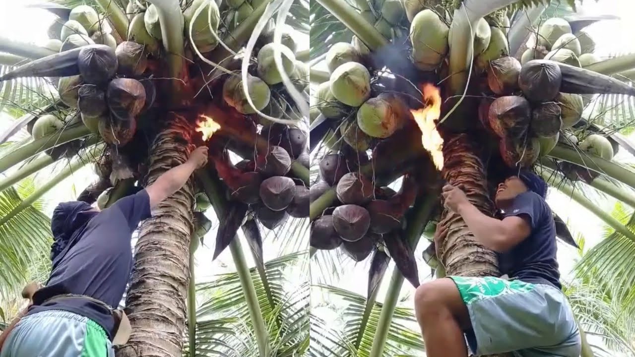 Grabi ka hangin dol naa pagyod pasgaw dol