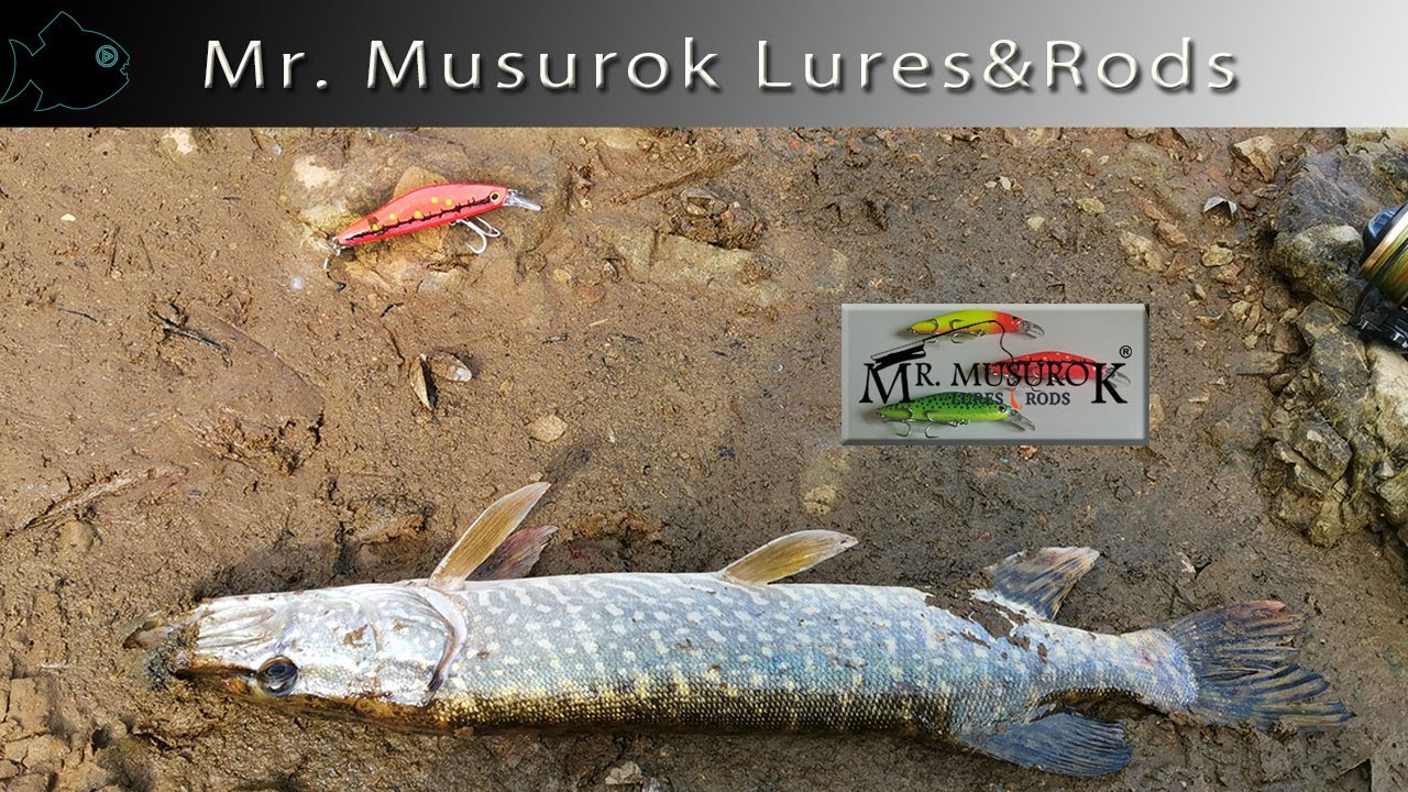 Воблеры Mr. Musurok Lures&Rods жесткий тест на Северной Двине