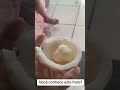 Maçã que nasce dentro do coco #brazil #nordeste #fly #sitio #frutas