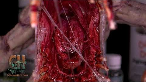 How to use Dirty Down Gore and Snot