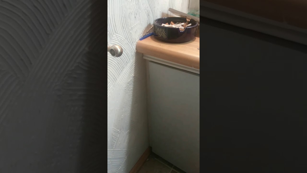 Toilet Paper Recycling EXTREME!!! 