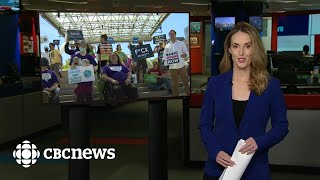 Toronto Basic Income March Coverage | 2022 CBC News