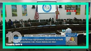 Florida Senate committee passes 15-week abortion ban bill
