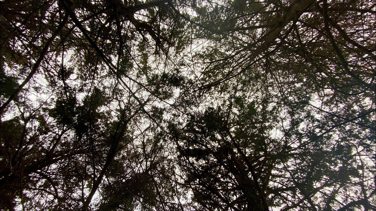 Конец сомнений