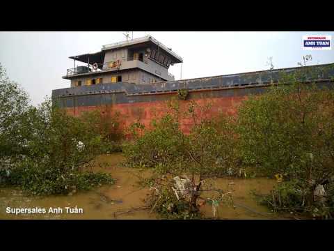 Thumbnail for Con Tàu Khổng Lồ Bị Bão Đánh Dạt Vào Bờ Sông Lam