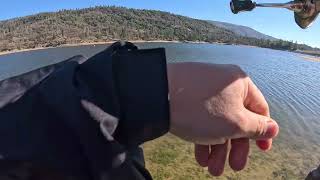Bass Lake Late Trophy Trout Chasing🔥